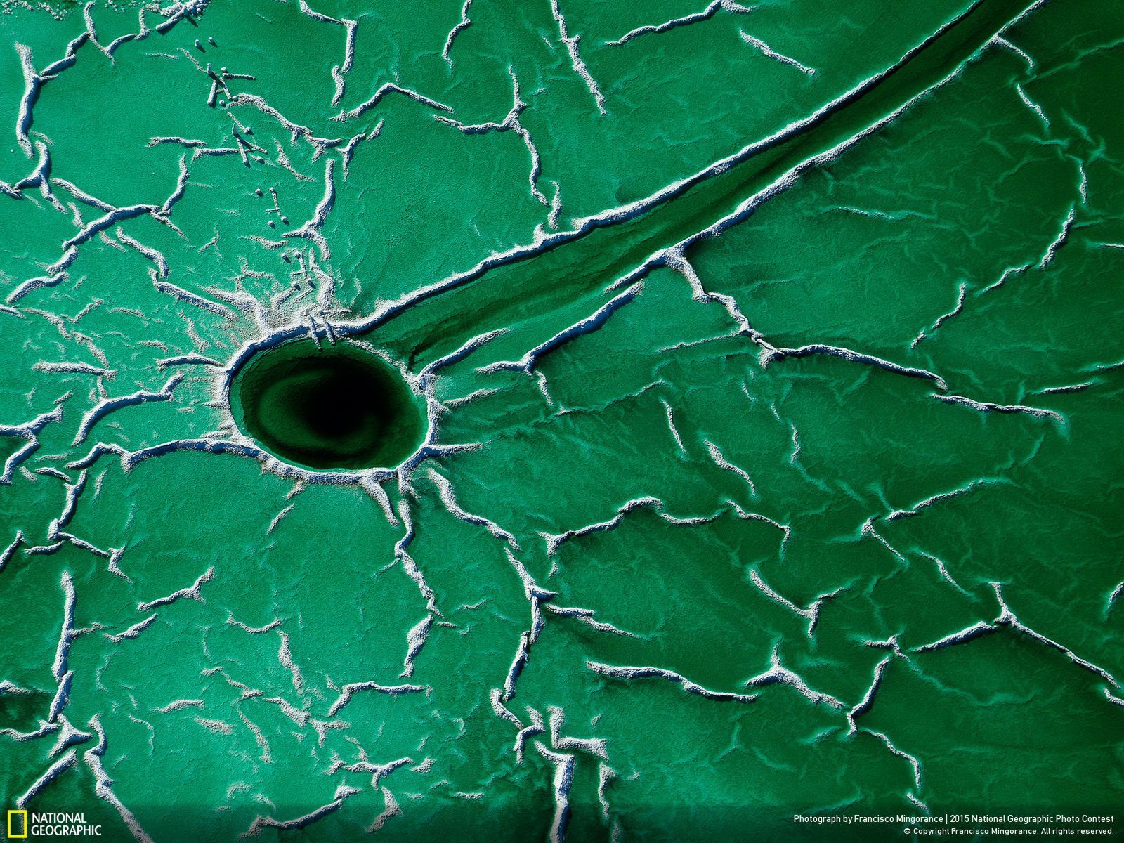 Oto zwycięzcy konkursu fotograficznego 2015 National Geographic 2