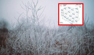 Przymrozki w Polsce. W tych rejonach może być naprawdę zimno