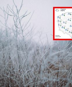 Przymrozki w Polsce. W tych rejonach może być naprawdę zimno