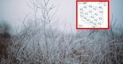 Przymrozki w Polsce. W tych rejonach może być naprawdę zimno