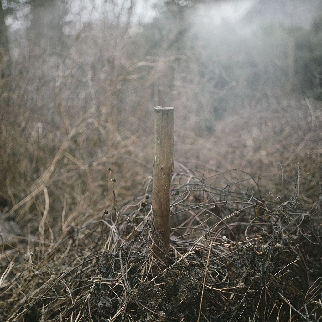 Marlena Jabłońska - laureatka drugiej edycji „Pokaż się” w ramach  5. Opolskiego Festiwalu Fotografii 17