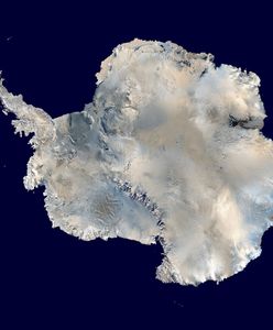 Niespodziewane odkrycie na Antarktydzie wyjaśniło wielką tajemnicę