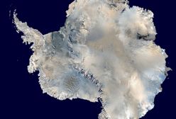 Niespodziewane odkrycie na Antarktydzie wyjaśniło wielką tajemnicę