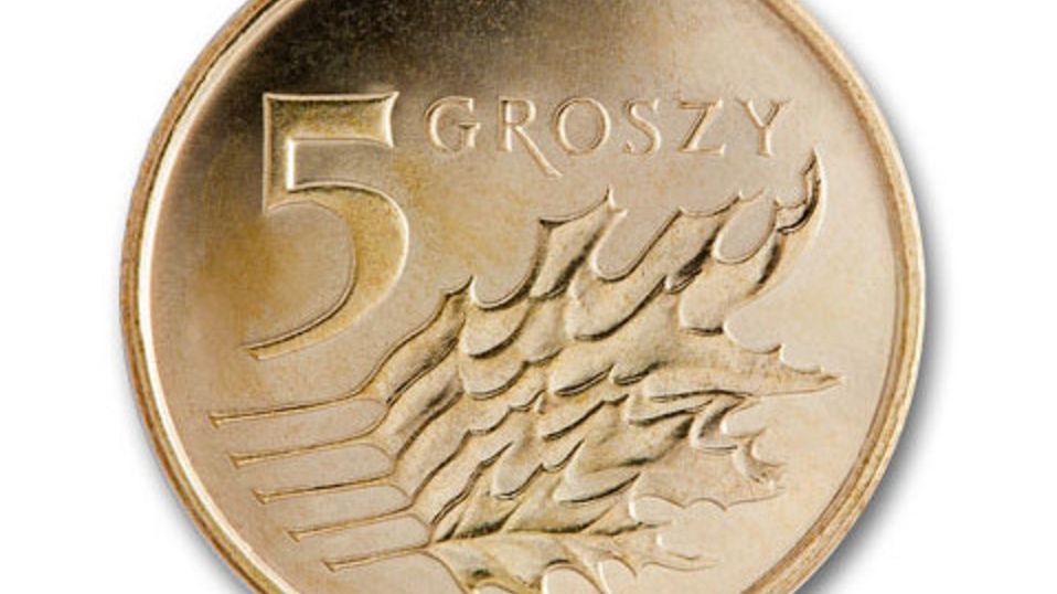 5 groszy