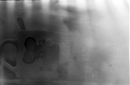 Lomografii, czyli anarchia w fotografii
