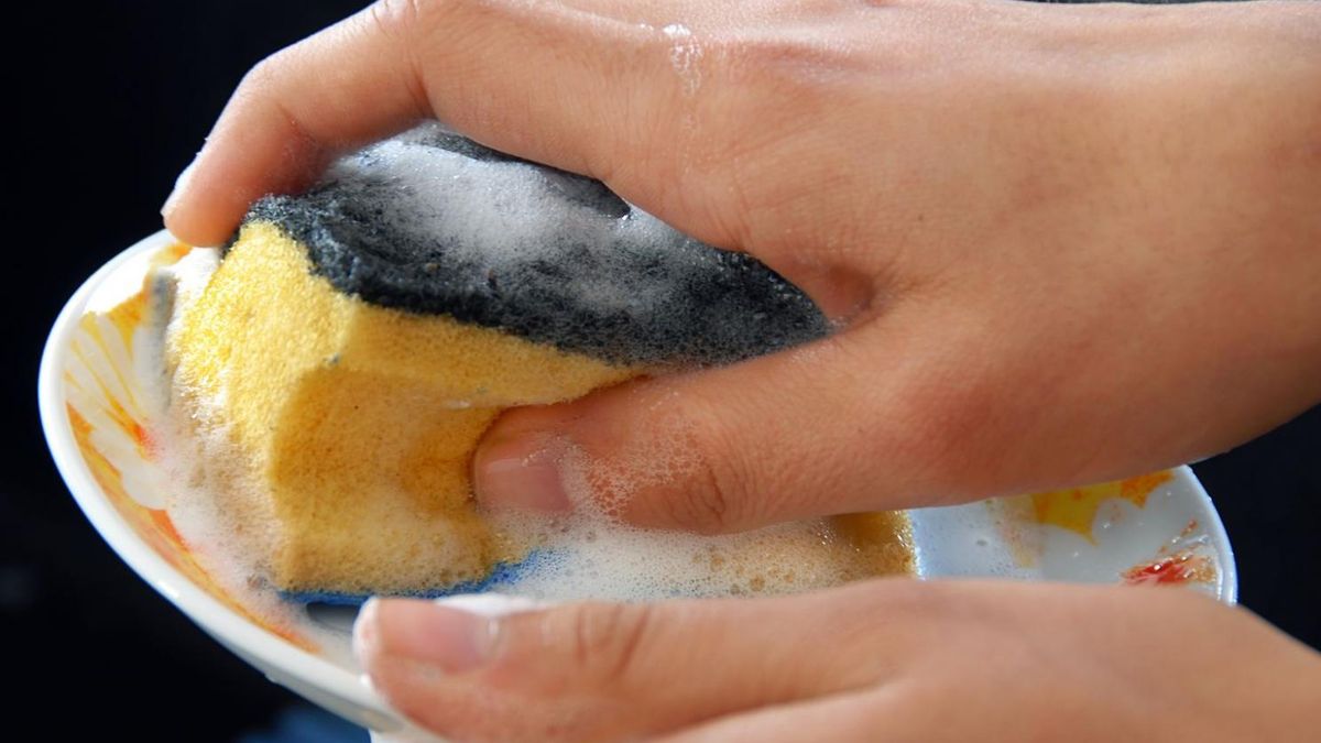 Kuchenne gąbki zawierają najwięcej bakterii 