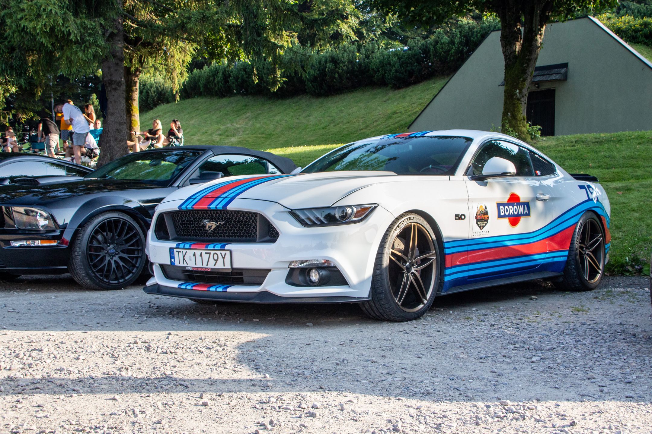 Małopolski & Śląski Zlot Mustangów 2024