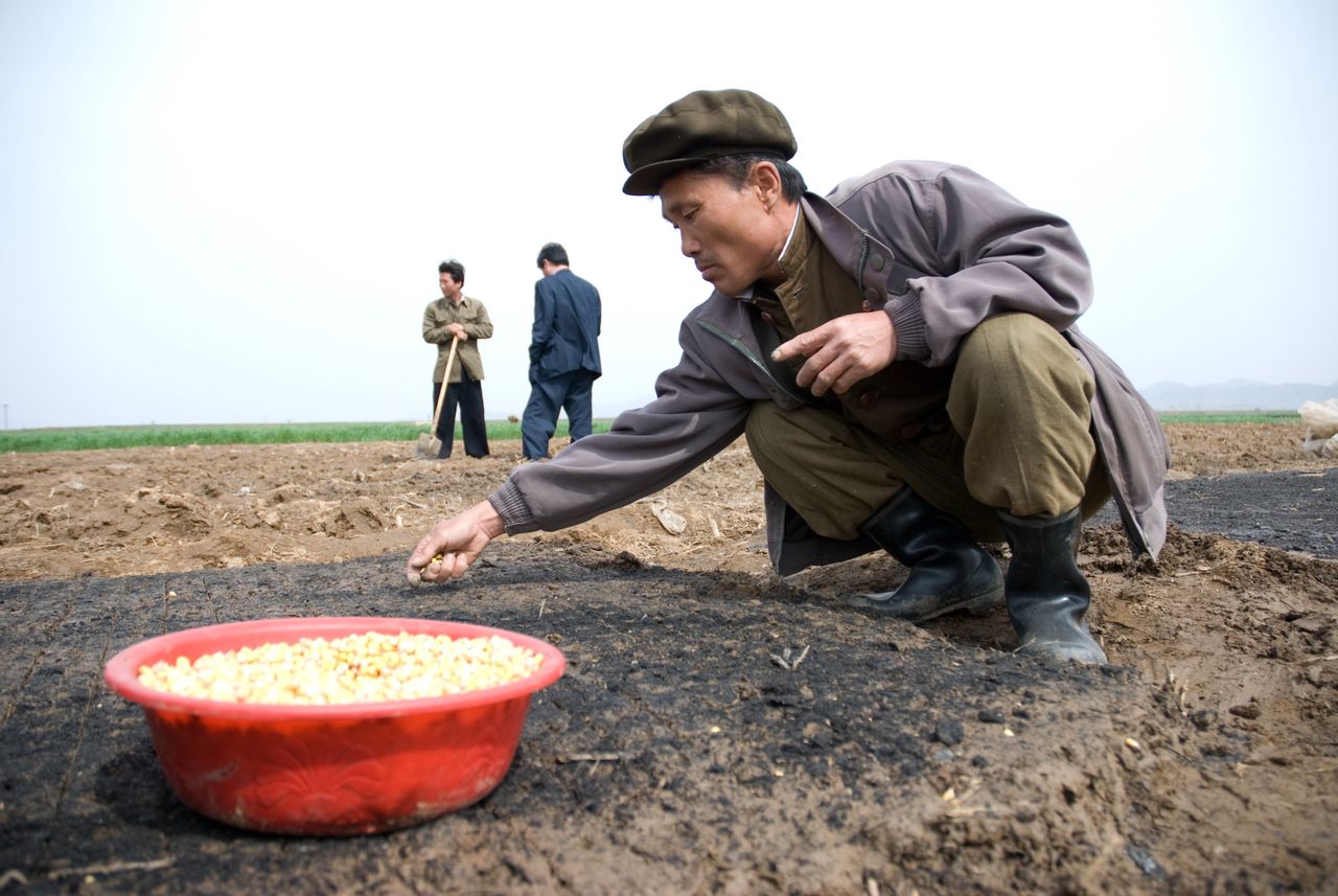 The general population of North Korea pays about 100 times more for grain than officials, who receive food at prices set by the state.