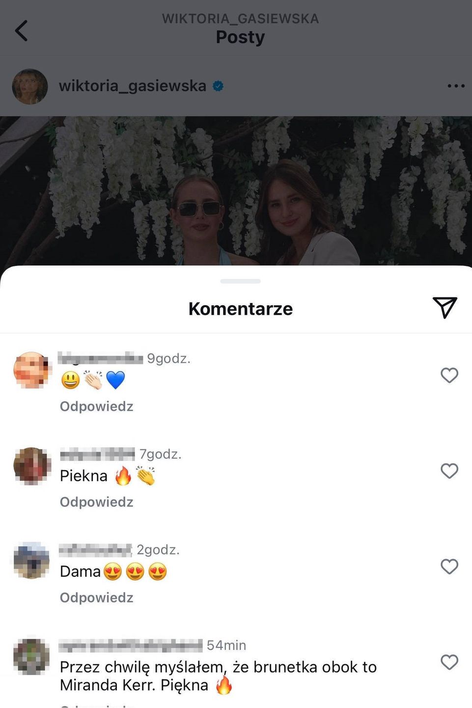 Komentarze pod postem Gąsiewskiej 