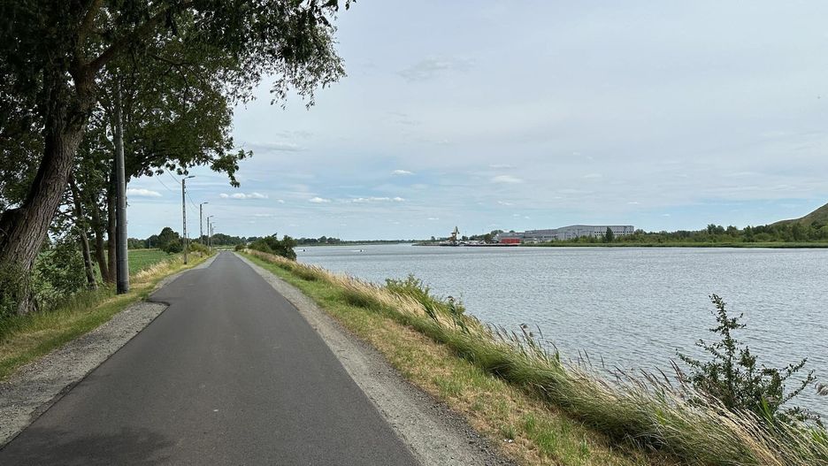 Rowerem przez Wyspę Sobieszewską