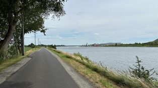 Szlak rowerowy na Wyspie Sobieszewskiej. To 30-kilometrowa pętla