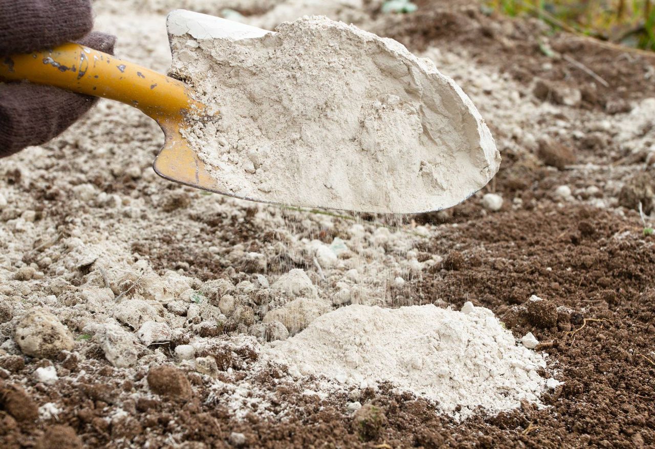 Forum Rolnicze "Gazety Pomorskiej" o zdrowej glebie. Czy poradzi sobie bez wapnia?