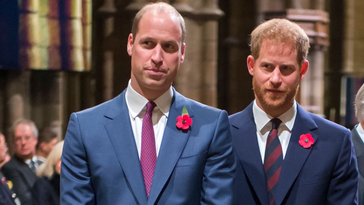 Książę Harry i książę William nie doszli do porozumienia w sprawie pomnika Lady Di