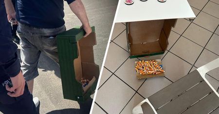 Policja zatrzymała organizatora popularnej wakacyjnej gry
