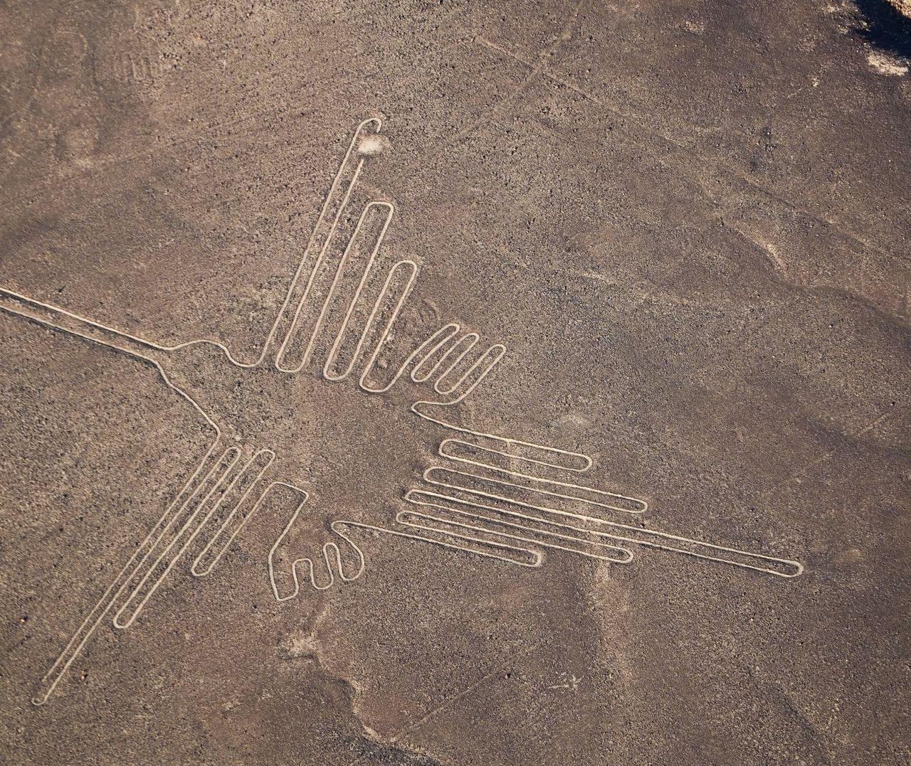 Sztuczna inteligencja pomogła odkryć cztery nowe rysunki z Nazca