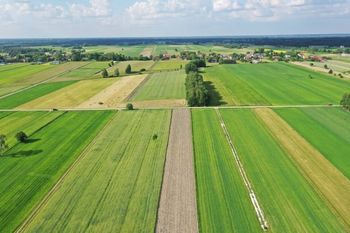 Zmiany w ustawie o ziemi rolnej. Resort chce uprościć formalności i ograniczyć biurokrację