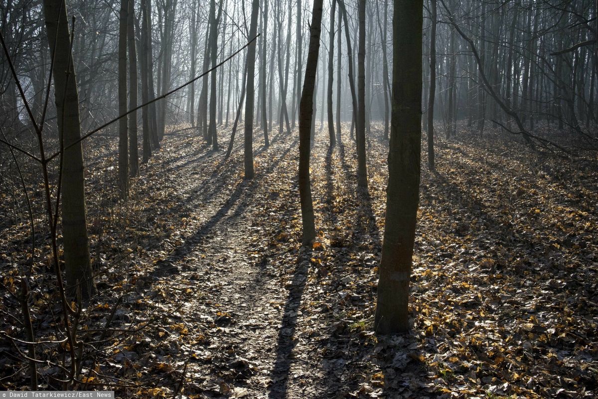 W pierwszej połowie tygodnia silny mróz przy granicy z Białorusią 