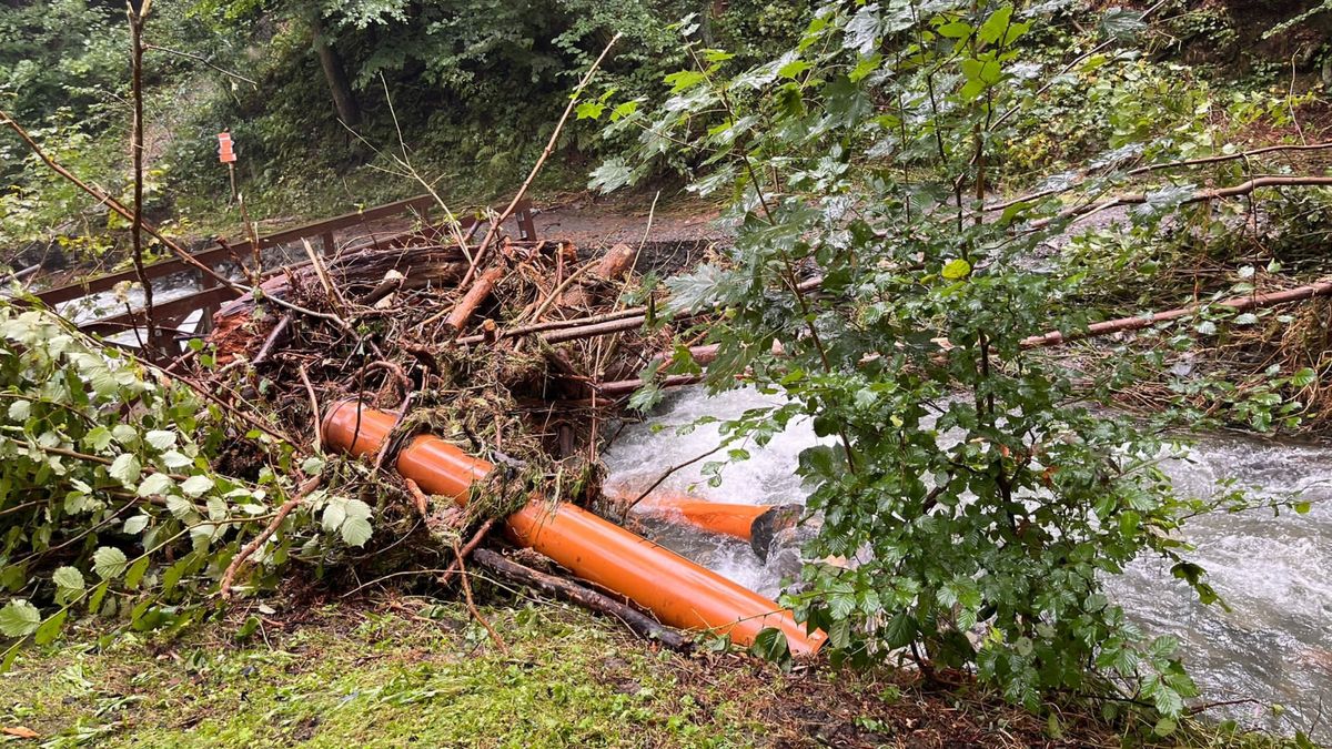 Trudna sytuacja w prudnickich lasach