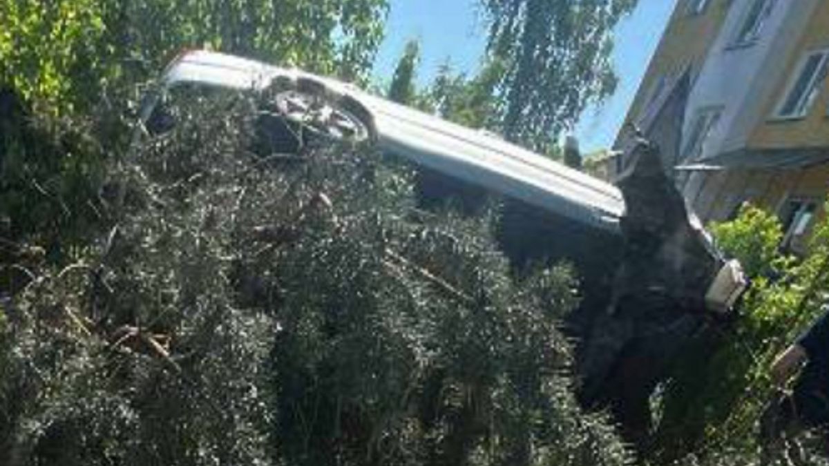 Kompletnie pijany kierowca wjechał w Toruniu w krzaki