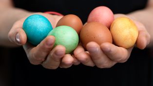 300 dzieci szukało wielkanocnych jajek i słodkości w Rybniku. Wielka zabawa w Parku św. Wawrzyńca