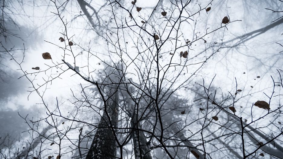 Pogoda. IMGW ostrzega przed silnym wiatrem na wybrzeżu (Flickr.com/Hannes Flo)