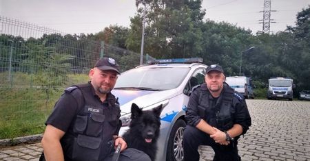 Wrocław. Policyjny pies odnalazł zaginionego 84-latka. Spadł do piwnicy na terenie pustostanów