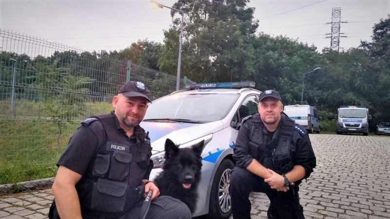 Wrocław. Policyjny pies odnalazł zaginionego 84-latka. Spadł do piwnicy na terenie pustostanów