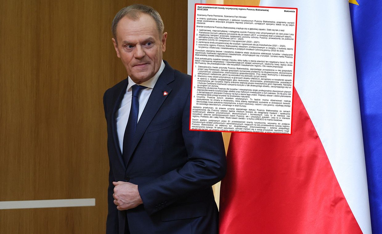 Kryzys branży turystycznej z Puszczy Białowieskiej. Przedsiębiorcy apelują do premiera