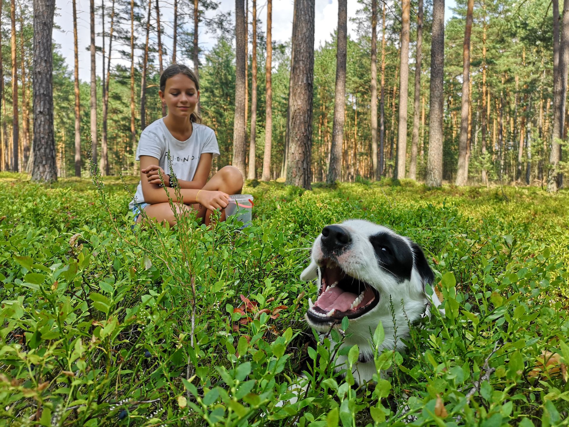 Trudno o bliższy kontakt z naturą
