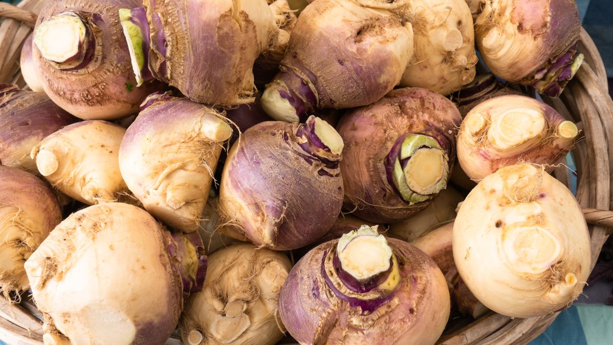 Norwedzy kochają brukiew