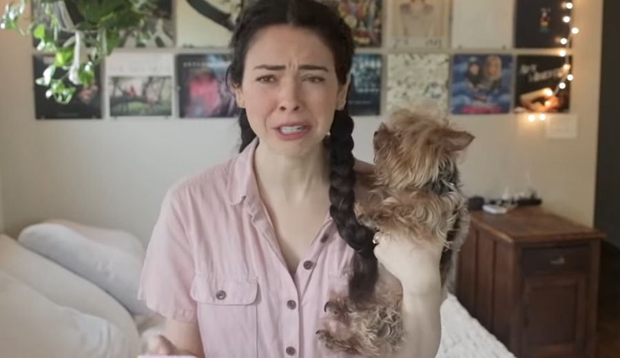Youtuberka Nikki Philippi uśpiła psa, bo zwierzę ugryzło dziecko