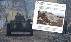 Największa na świecie ferma drobiu zniszczona. "Padło 4 mln ptaków"