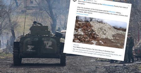 Największa na świecie ferma drobiu zniszczona. "Padło 4 mln ptaków"