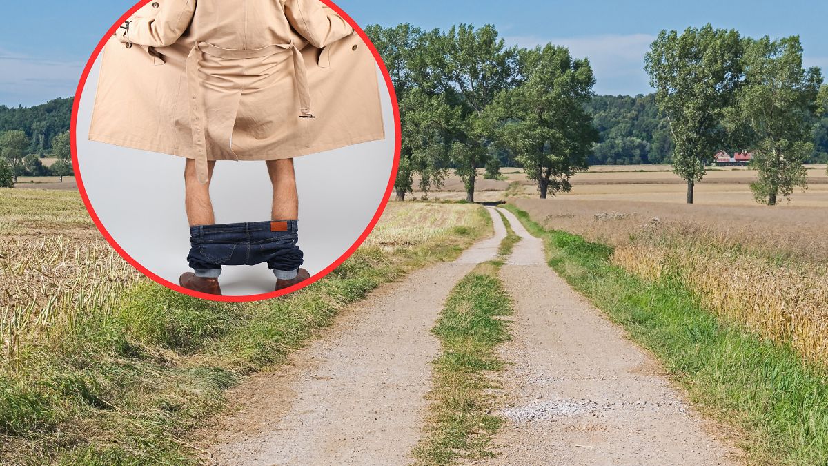 Zdjęcia ilustracyjne. 