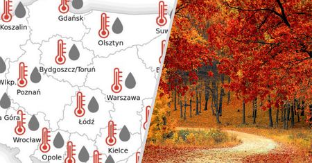 Ciepła jesień? Synoptycy IMGW mają już prognozy