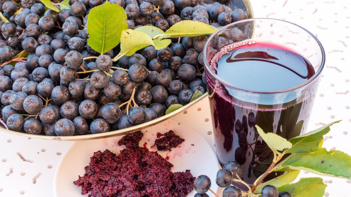 Jak zrobić sok z aronii?