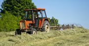 Rolnik nie ma dostępu do pola. Prowadzą na nim wykopaliska