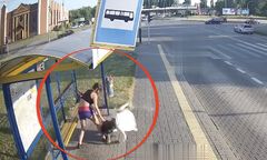Nagranie przerażającego pobicia na przystanku autobusowym. Straż Miejska: brutalna pomyłka