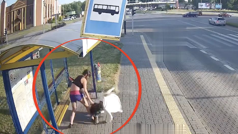 Brutalny napad na 33-latkę, która siedziała na przystanku autobusowym u zbiegu ulic Janke i Nawrockiego w Pabianicach