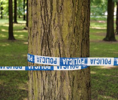 Gwałt i zabójstwo w Parku Praskim. Prokuratura wszczęła śledztwo