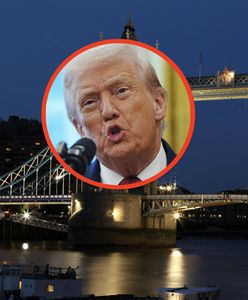 Kryzys na linii USA-UK. Stany Zjednoczone  zawiesiły partnerstwo