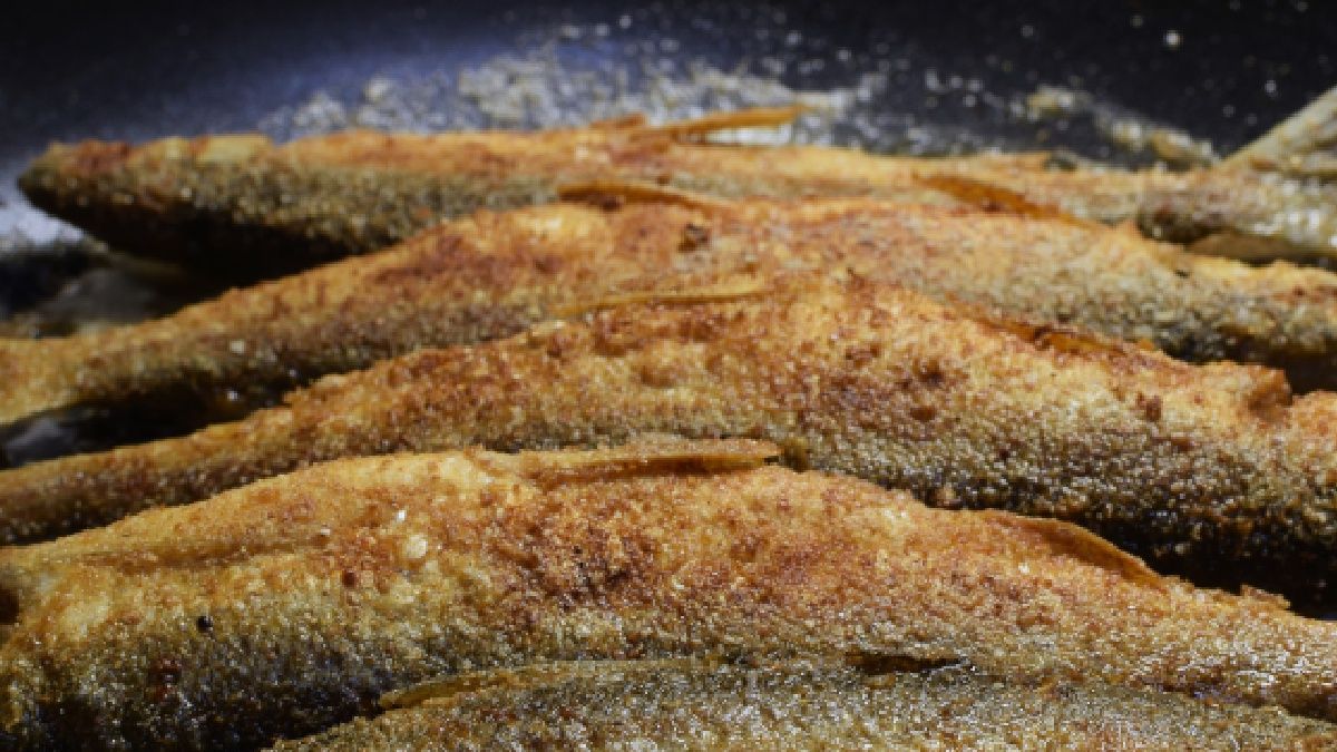 Sielawa to coraz popularniejsza ryba w Polsce