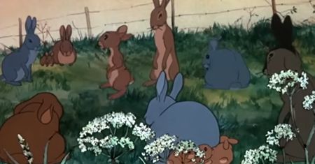 Pokazali tę animację w Wielkanoc. Film o królikach wywołał burzę