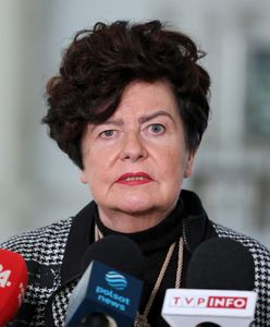 Wielki powrót SLD. Będzie działać jako stowarzyszenie