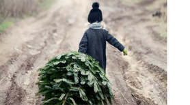 Najdziwniejsze zwyczaje świąteczne z różnych stron świata