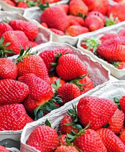 Truskawki będą droższe. To efekt suszy i epidemii koronawirusa