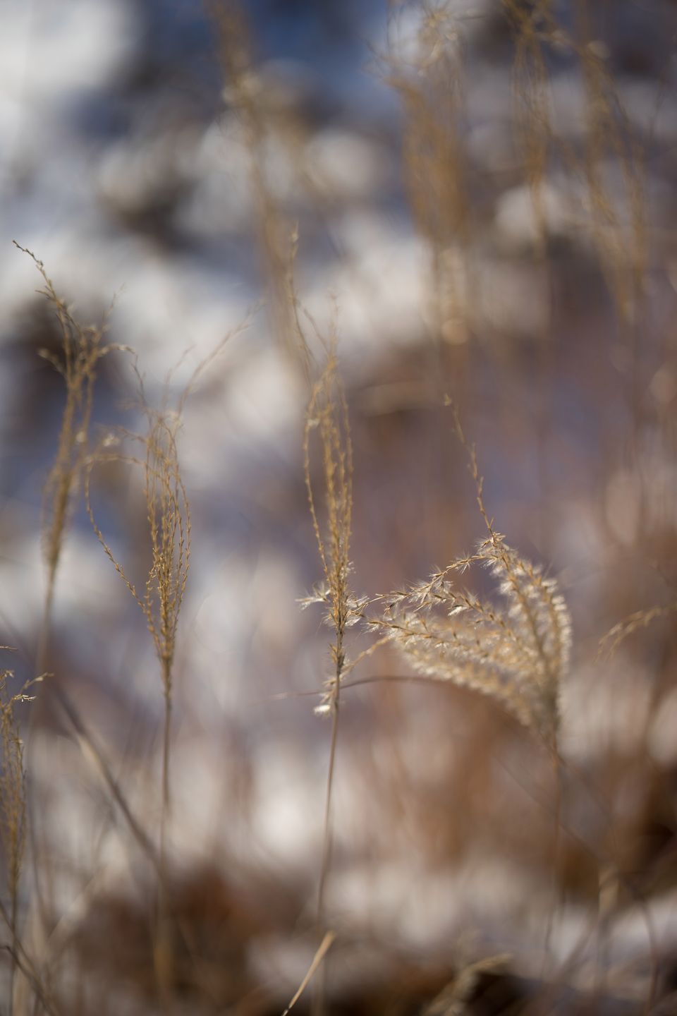 Zeiss Batis 85 mm f/1.8 - test portretówki do Sony A7 90