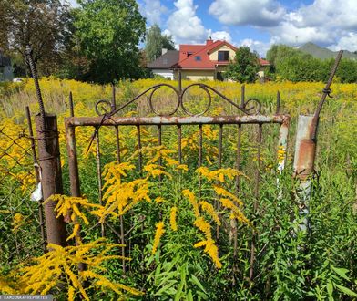 Jak zasiedzieć działkę sąsiada? Sąd Najwyższy orzekł w takiej sprawie