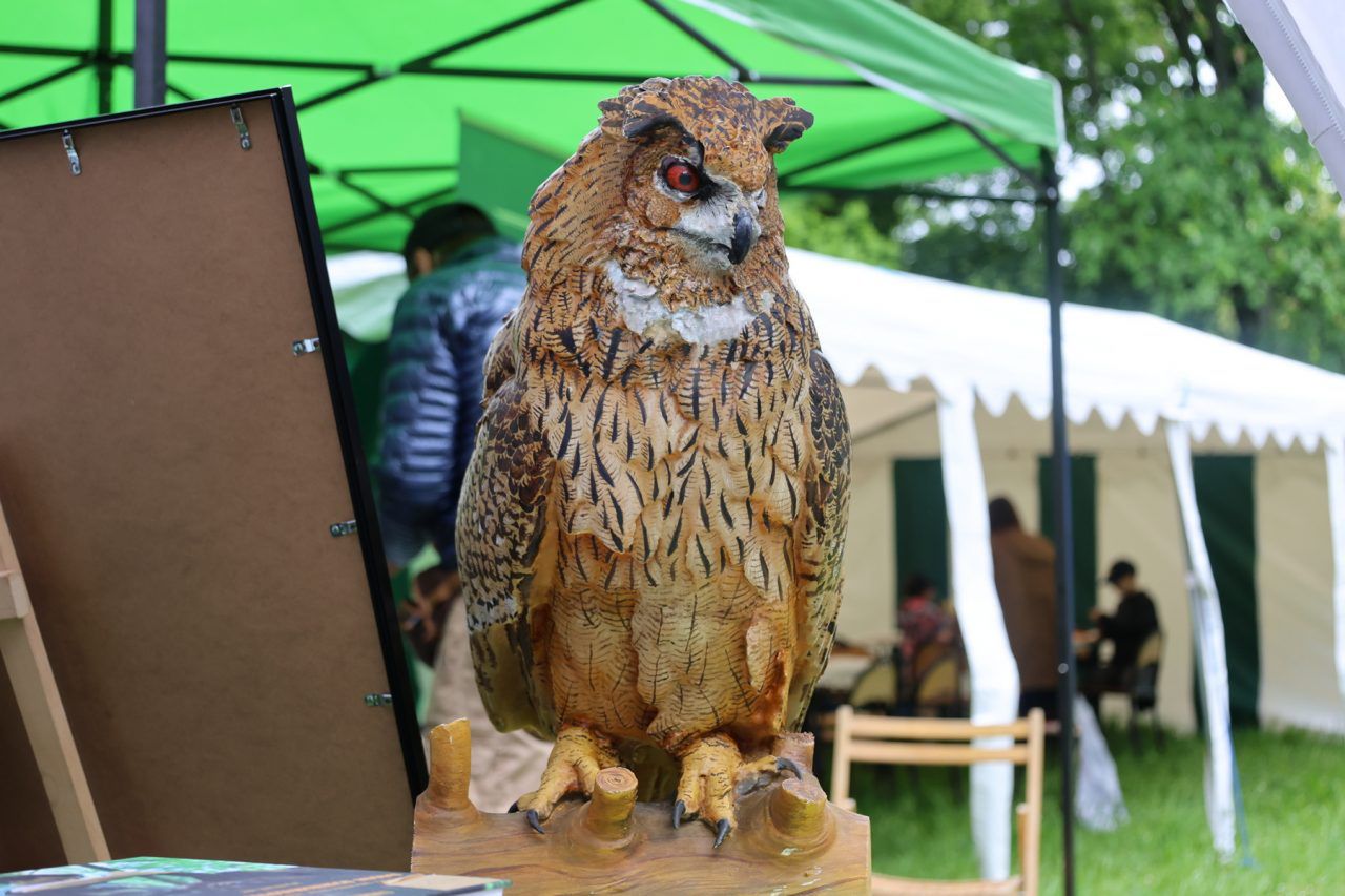 IV Festiwal Przyrody w Lublinie za nami. Dwa dni nauki, sztuki i refleksji nad środowiskiem