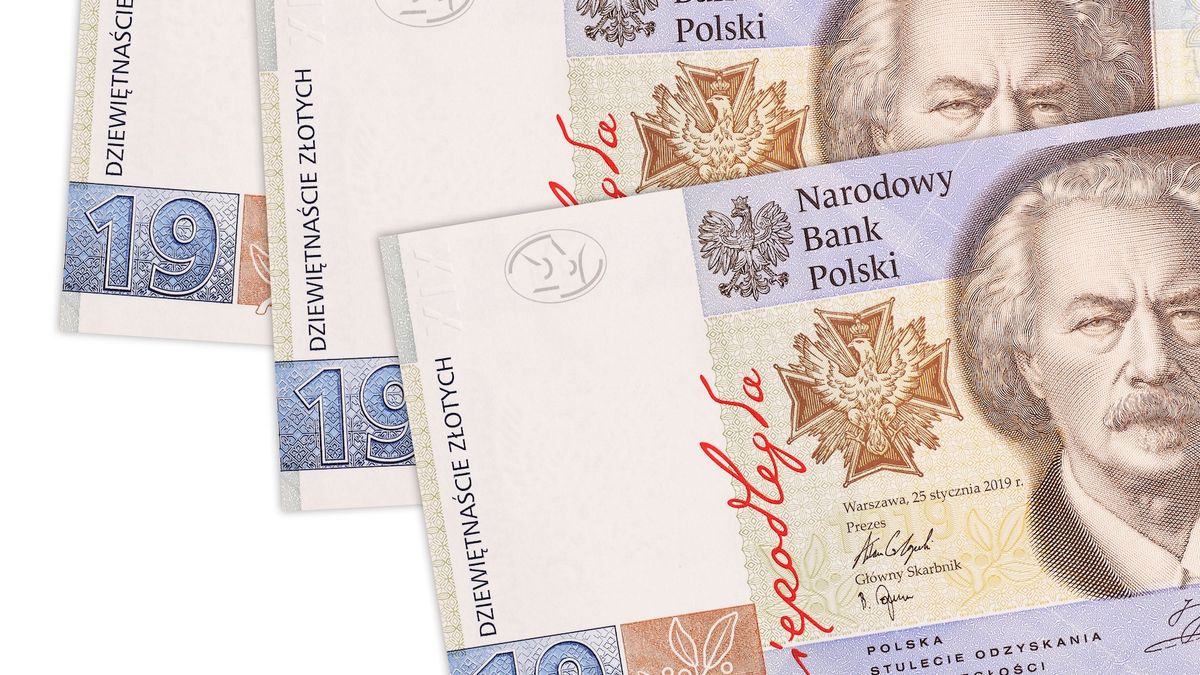 52 631 takich banknotów to gwarancja godziwej emerytury. Czy możliwe jest, by takie pieniądze udało się nam odłożyć?